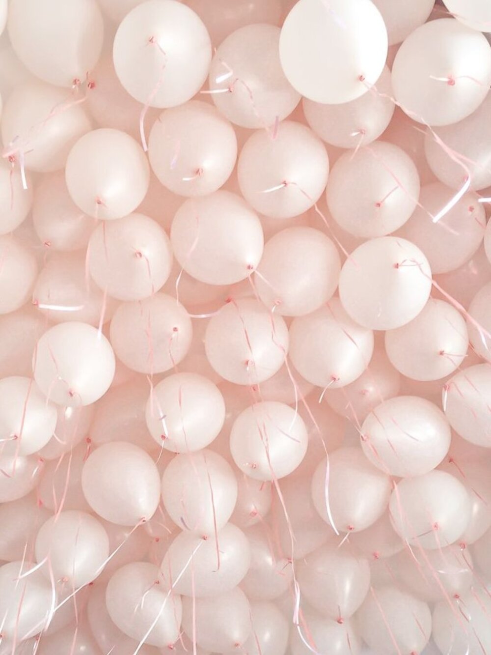 Persian cat and the brown and white cocker spaniel littlest pet shop bundle